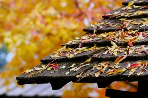 Understanding Roof Shingles